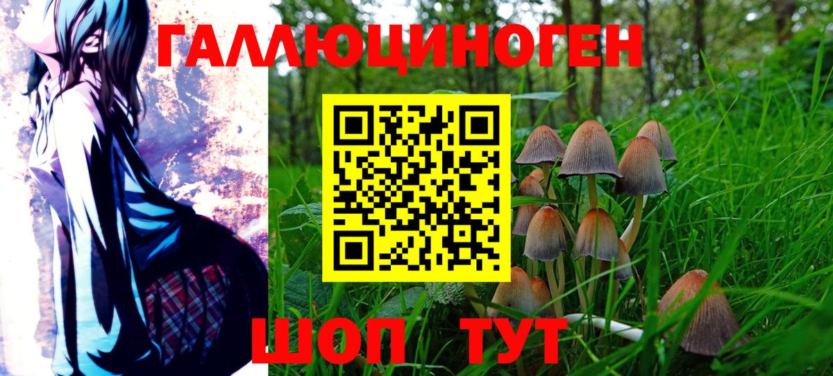 Лобня  Псилоцибиновые грибы GOLDEN TEACHER  Вход с VPN 