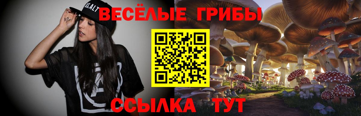 Псилоцибиновые грибы ЛСД Лобня